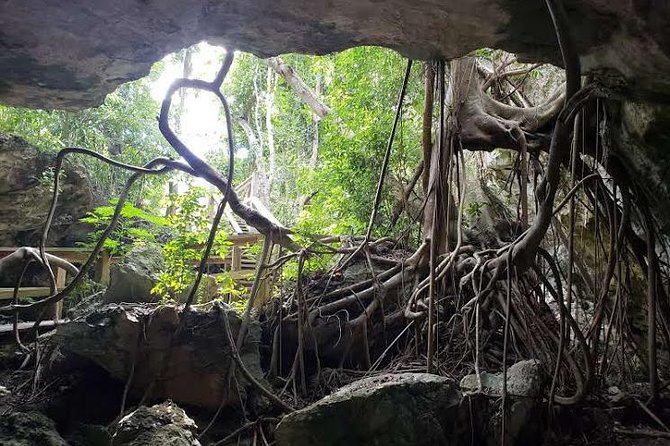 East End Private Day Trip Experience Tour - Private Tour Experience