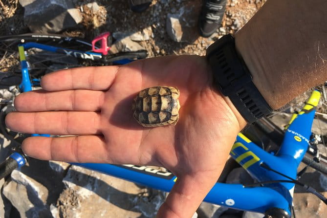 East Mani Road e-Bike Tour - Exploring East Mani on an E-Bike: A Balance of Adventure and Authentic Beauty