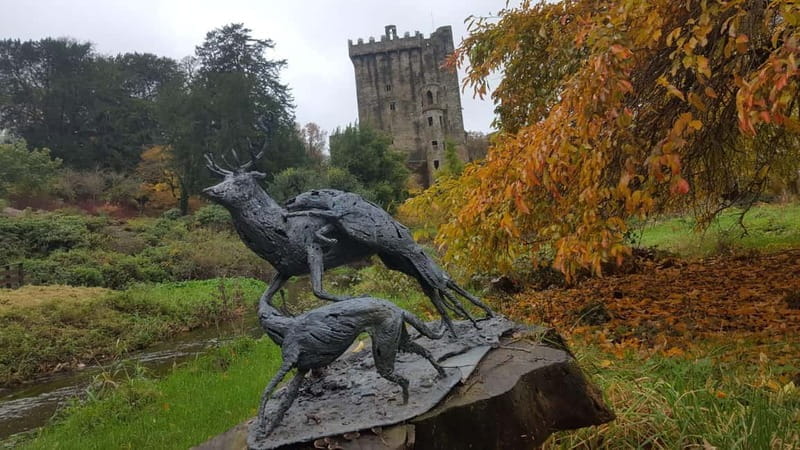 Easy Access - The Blarney Stone & Castle Gardens Tour - Final Thoughts