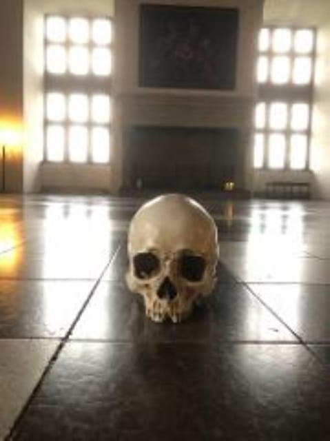 Easy Pace Tour of Kronbog Castle & Frederiksborg Palace W - Exploring the Castles and Towns at a Leisurely Pace