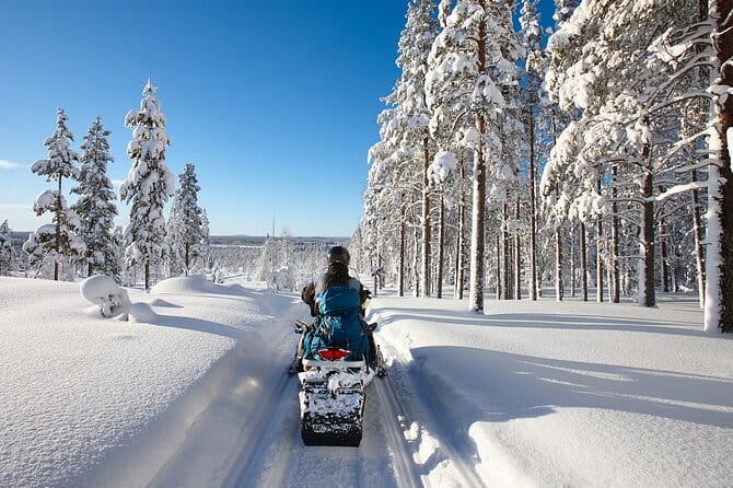Easy Snowmobile Safari - Who Should Consider This Tour