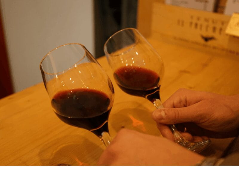 Easy Wine Tasting in Turin City Center - Price and Value for Money