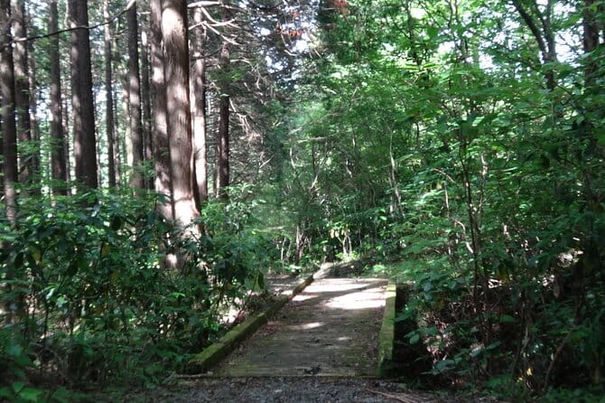 Easygoing Nature Walk in Hakone Tour - Health and Accessibility Information