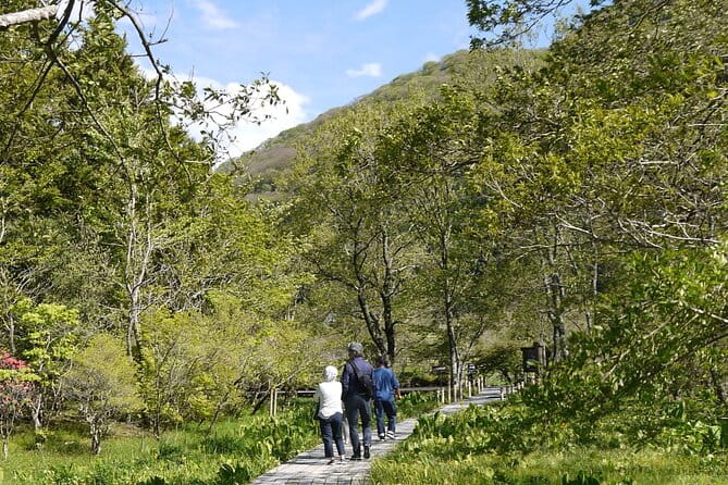 Easygoing Nature Walk in Hakone Tour - Stunning Scenery and Local Flora and Fauna