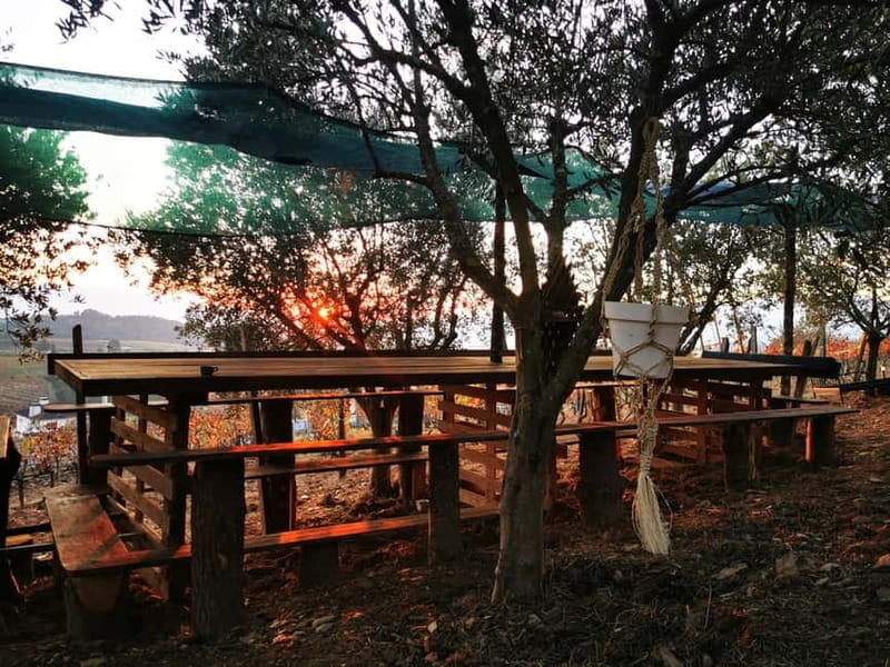 Eat in the vineyards like a Duriense - An In-Depth Look at “Eat in the Vineyards Like a Duriense”