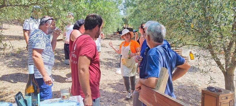 Eat in the vineyards like a Duriense - Breaking Down the Experience