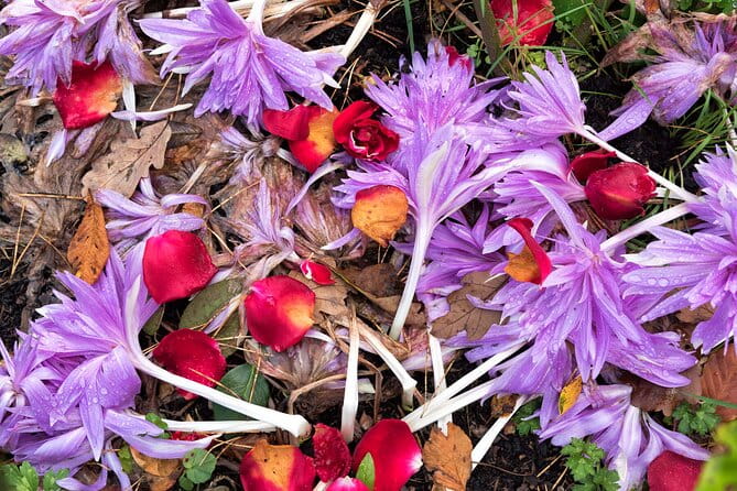 eBiking Glenveagh National Park. Donegal. Self guided. 3 hours. - FAQ