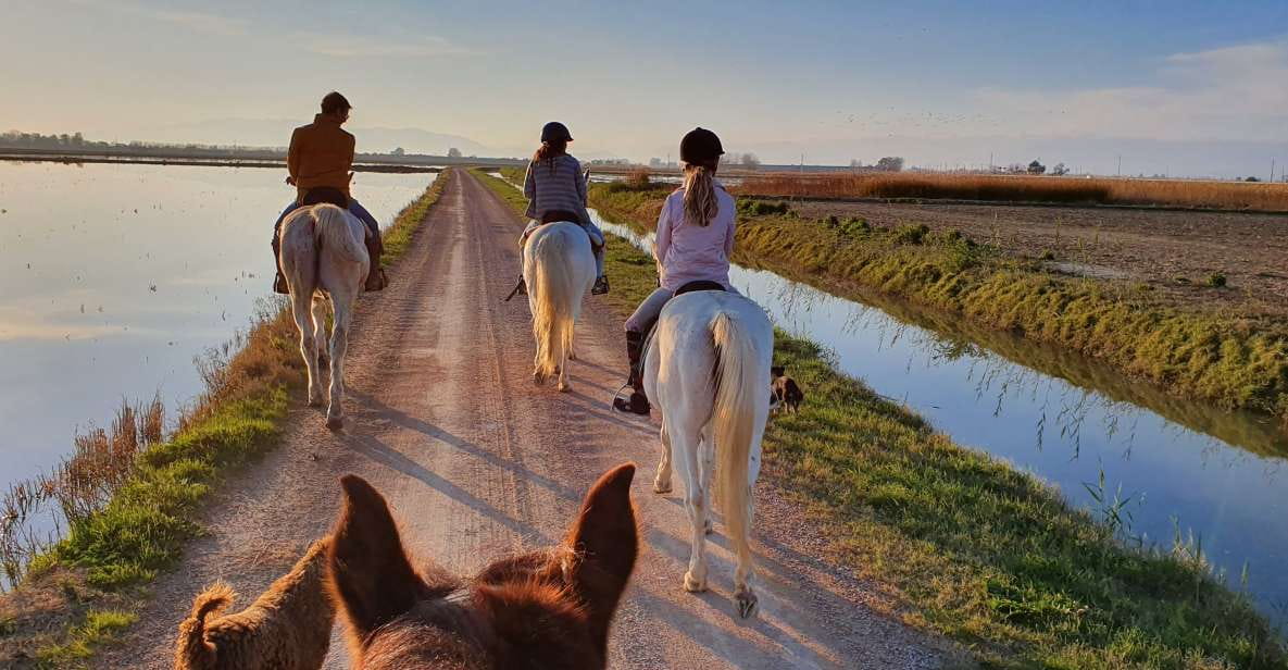 Ebro Delta National Park: Guided Horseback Riding Tour - Key Points