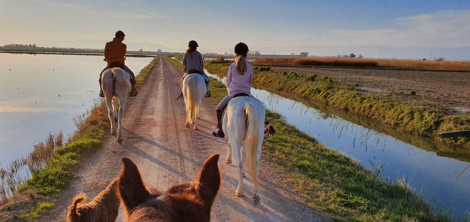 Ebro Delta National Park: Guided Horseback Riding Tour - Itinerary and Experience