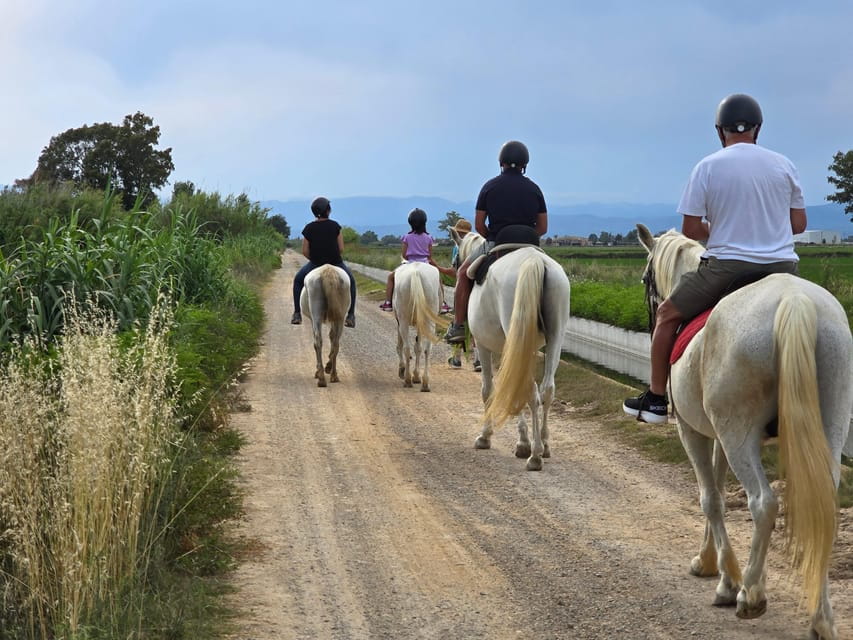Ebro Delta National Park: Guided Horseback Riding Tour - Cancellation Policy