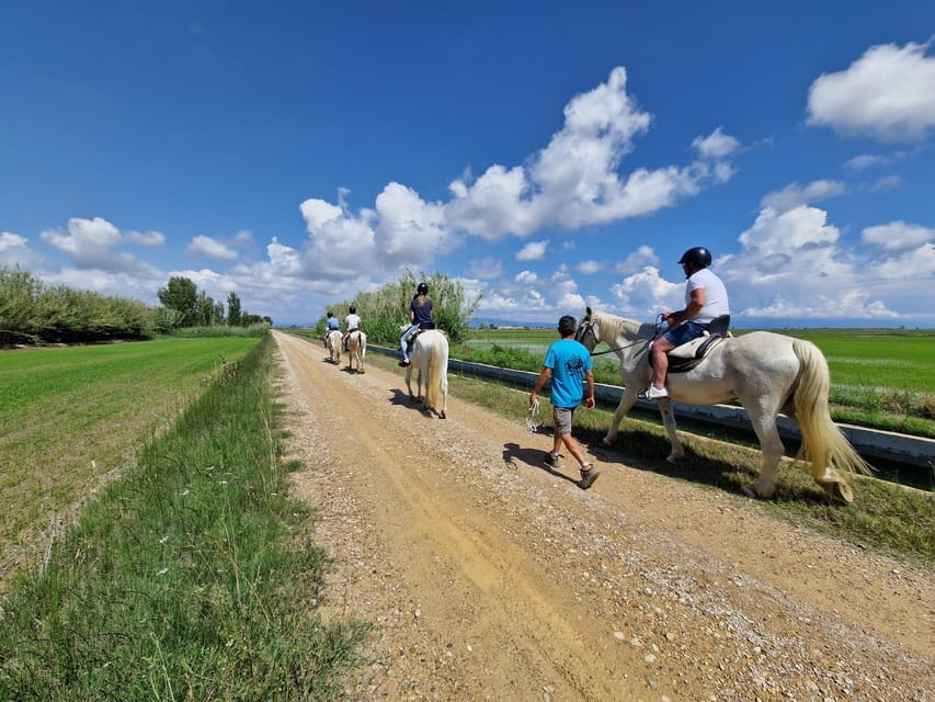 Ebro Delta National Park: Guided Horseback Riding Tour - Tips for Participants