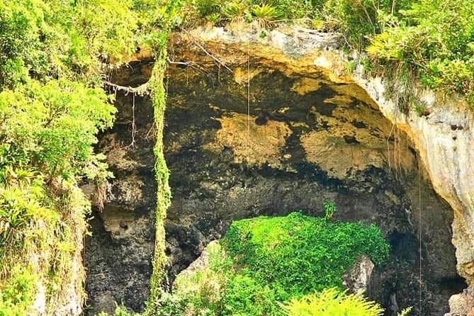 Echoes of Loiza: Art, Folklore, and Bomba Rhythms Excursion - Overview of the Excursion