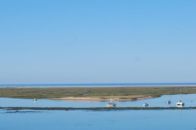 Eco Boat Tour in the Ria Formosa Lagoon From Faro - Minimum and Maximum Participants