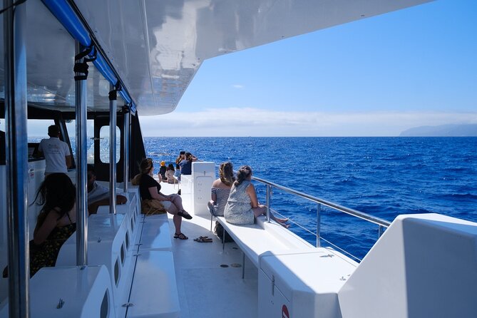 Eco-Friendly Catamaran Dolphin and Whale Watching - Guided Walk and Snorkeling