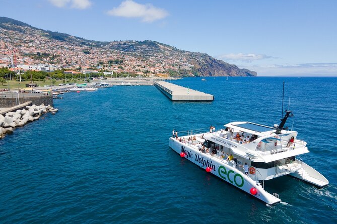 Eco-Friendly Catamaran Dolphin and Whale Watching - Accessibility and Age Restrictions