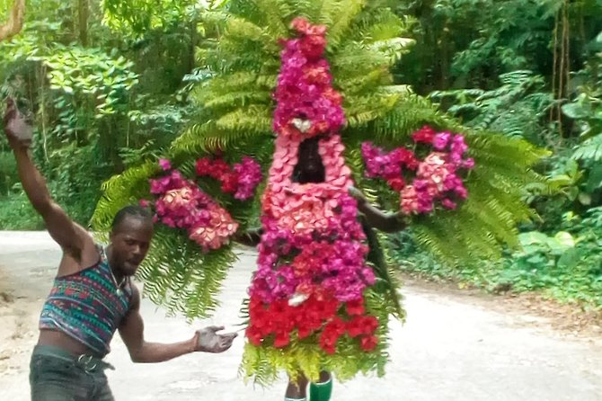 Eco-Tour (Konoko Falls & Fern Gully- From Ocho Rios - Customer Feedback and Rating