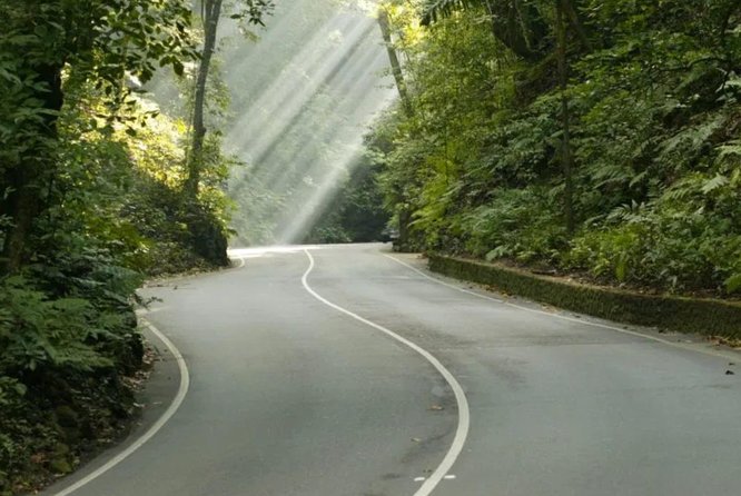 Eco-Tour (Konoko Falls & Fern Gully- From Ocho Rios - Traversing Fern Gully