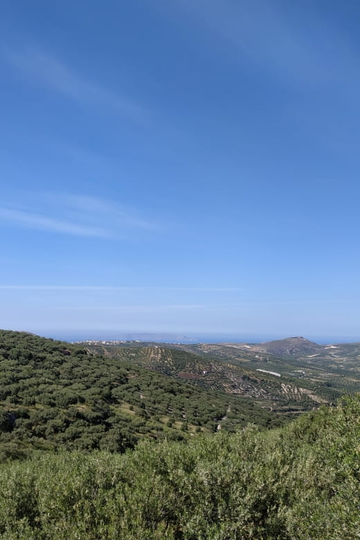 Ecobike: Food Tasting - Discover Cretan Cuisine & Villages - Scenic Bike Tour