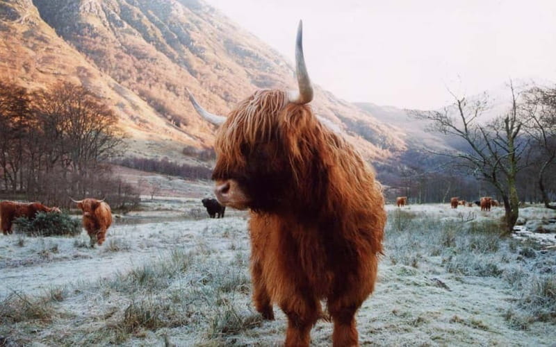 Edinburgh: 18-39s 3-Day Tour of Scottish Highlands & Skye - Entering the Scottish Highlands: A 3-Day Journey