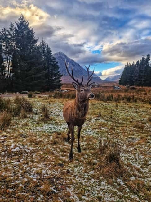 Edinburgh: 3-Day Isle of Skye & Highlands Guided Tour - The Enchanting Fairy Pools: A Natural Wonder