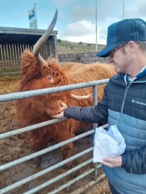 Edinburgh: 3-Day Isle of Skye & Highlands Guided Tour - Price, Logistics, and Value