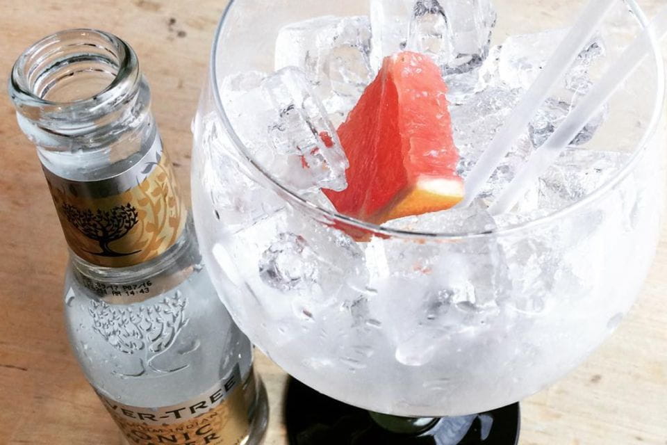 Edinburgh: Guided Gin Tasting at 56 North Distillery - Inclusions and Exclusions