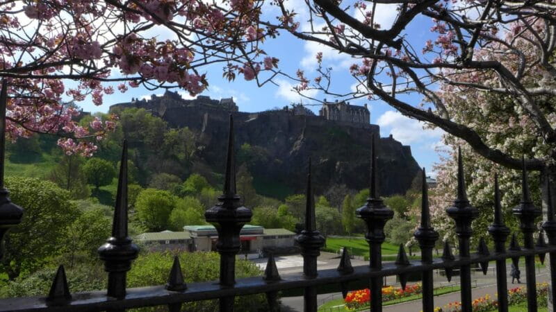 Edinburgh: History Lovers Old Town Walking Tour - Price and Value Considerations