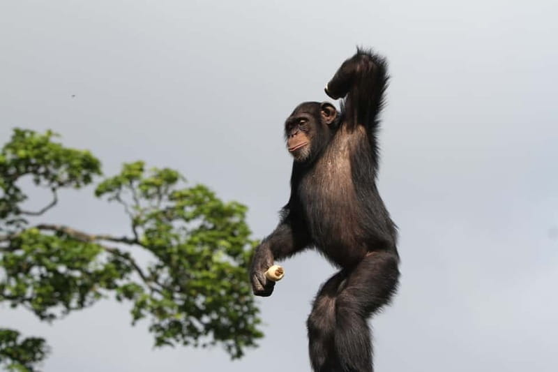 Edinburgh: Late Night Edinburgh Zoo Entry Ticket - Frequently Asked Questions