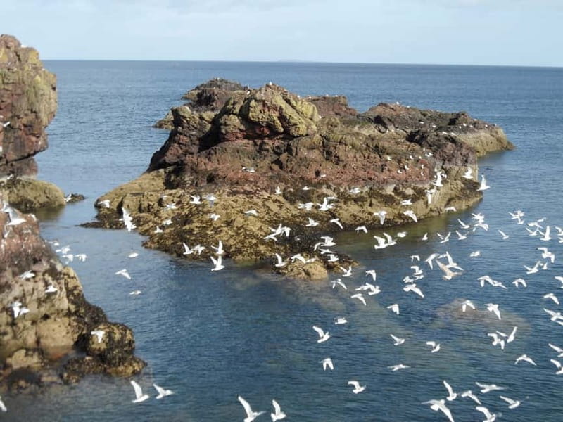 Edinburgh: Private Guided Walking Tour - How the Logistics Shape Your Experience