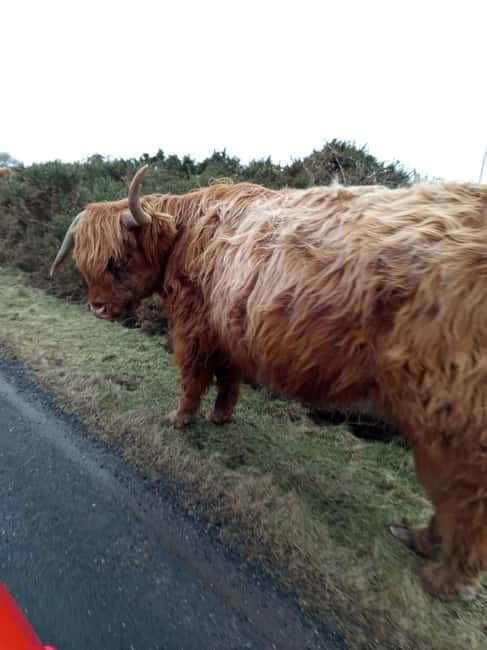 Edinburgh: Stirling, Highlands, Loch Ness, Mull 5-Day Tour - Key points / Takeaways