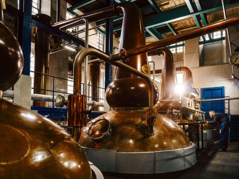 Edinburgh to Scottish Highlands: Whisky, Views & Hairy Coos - Who Will Love This Tour?