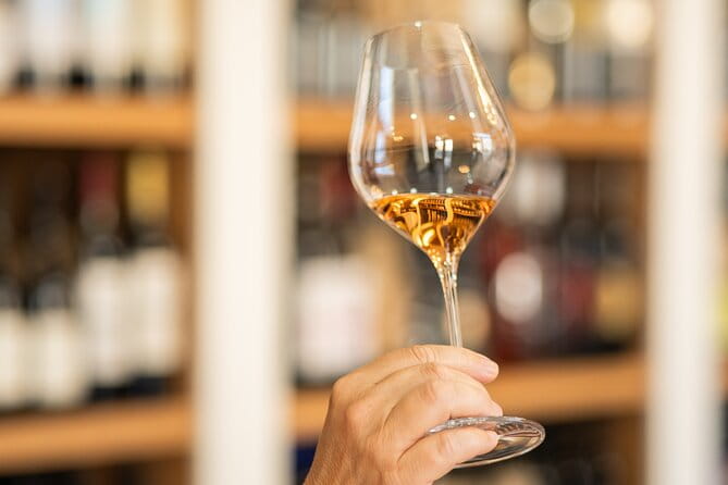 Educational wine tasting in Split - The Experience: What You Can Expect in Split