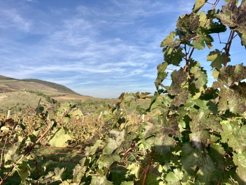 Eger: Countryside, Culture, and Wine Private Tour - Practical Details and Considerations