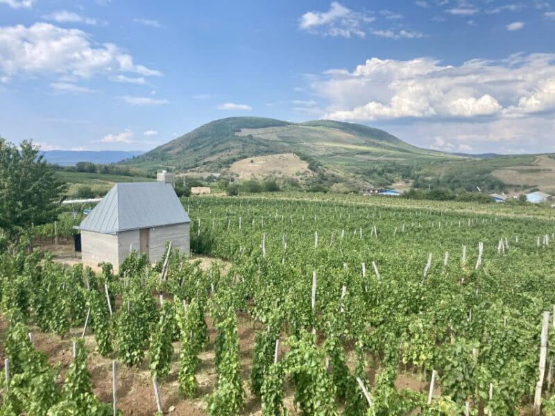 Eger: Countryside, Culture, and Wine Private Tour - FAQ