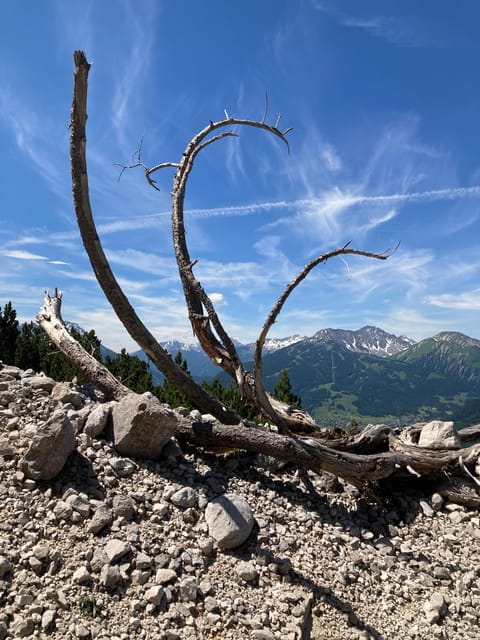 Ehrwald: Hiking Tour into breath taking Nature - Final Thoughts: Who Should Consider This Tour?