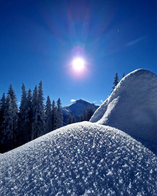 Ehrwald: Ice Bath Instruction Workshop - Booking Flexibility