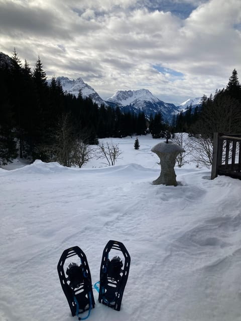 Ehrwald: Zugspitze Snowshoe Hiking Tour with Mountain Views - The Draws and Downsides of this Snowshoe Adventure