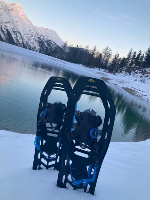 Ehrwald: Zugspitze Snowshoe Hiking Tour with Mountain Views - What You’ll Actually Do: Snowshoeing in the Alps