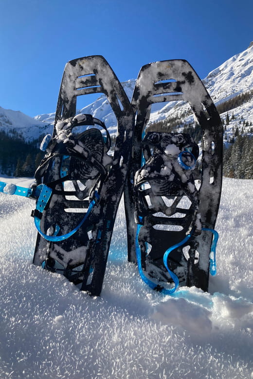 Ehrwald: Zugspitze Snowshoe Hiking Tour with Mountain Views - Practical Tips for the Tour