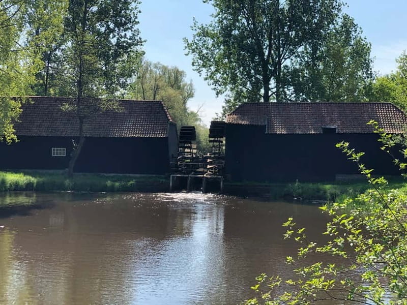 Eindhoven: E-Fatbike Tour The Footsteps Of Vincent van Gogh - Final Thoughts