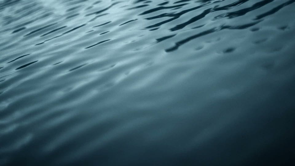 El Hierro: Discover the Sea Snorkeling Experience - Pricing and Reservation Details