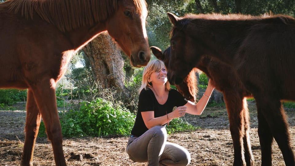 El Palmar: Reconnect Thanks to Coaching With Horses - Key Points