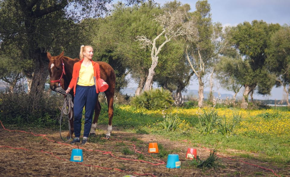 El Palmar: Reconnect Thanks to Coaching With Horses - Coaching Approach With Horses