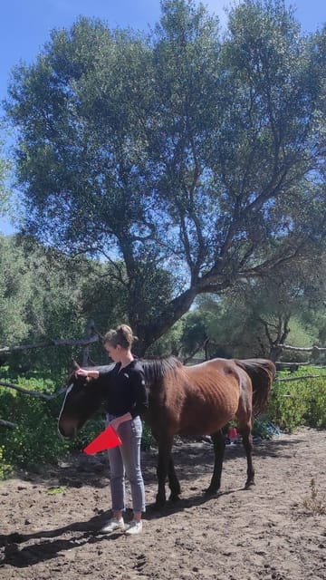 El Palmar: Reconnect Thanks to Coaching With Horses - Immersive Natural Environment