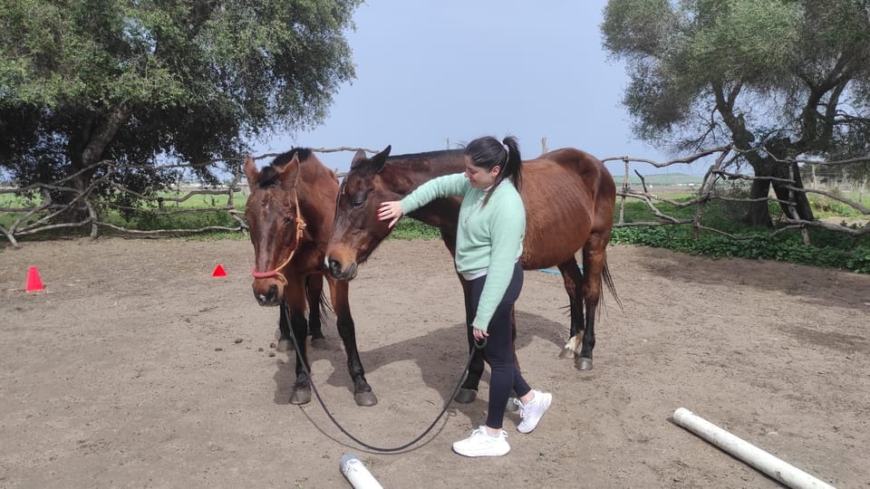 El Palmar: Reconnect Thanks to Coaching With Horses - Transformative Self-Reflection