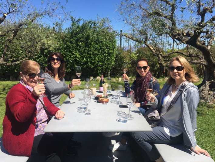 El Penedès: Cava Winery Small Group Tour - Tasting and Food Pairings
