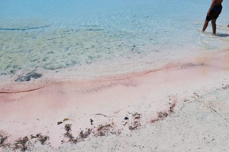 Elafonisi Road Trip - Be first at Beach! - Key points / Takeaways