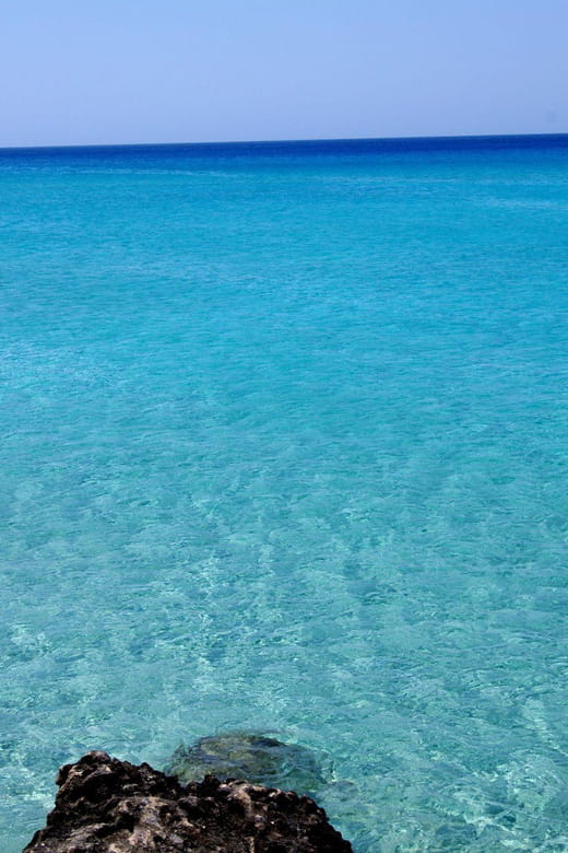 Elafonisi Road Trip - Be first at Beach! - Who This Tour Is Perfect For