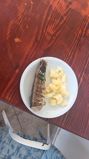 Elaphite Islands Cruise and Blue Cave Snorkeling Boat Tour - Final Thoughts: Is This Tour Right for You?