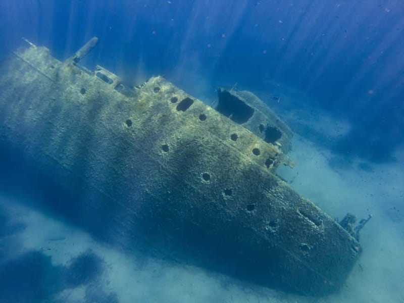 Elba Island boat trip to the Elviscot wreck - Who Will Love This Tour?